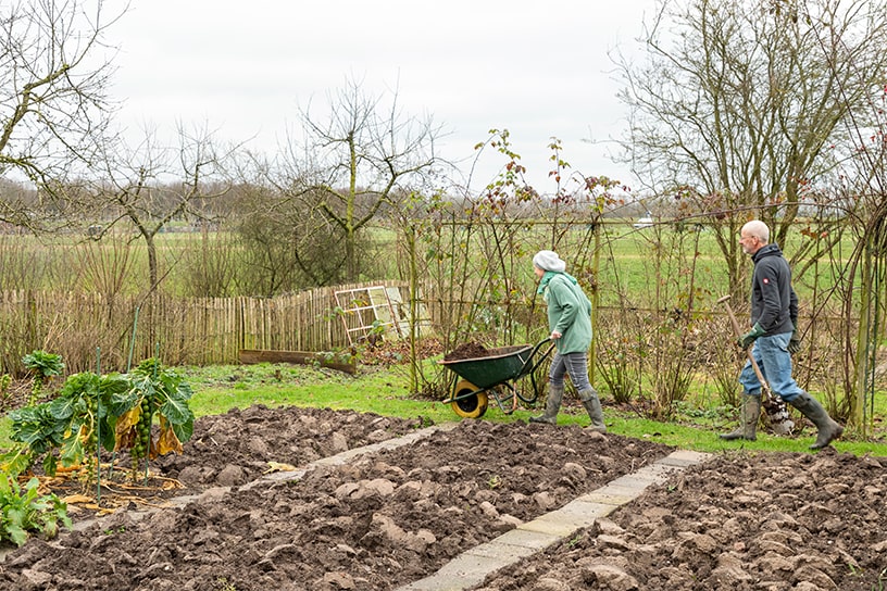 Man en vrouw lopen met kruiwagen door moestuin